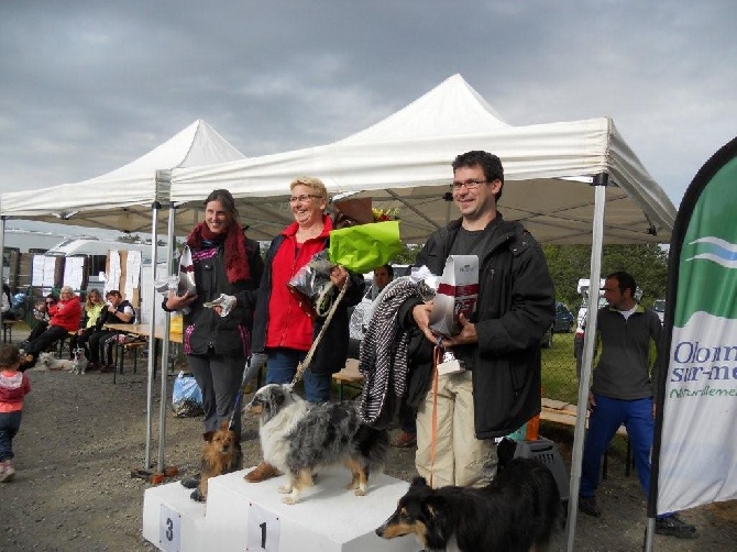 de L'ouche Argentée - 25 mai 2014 : Etincelle, meilleur chien de la journée