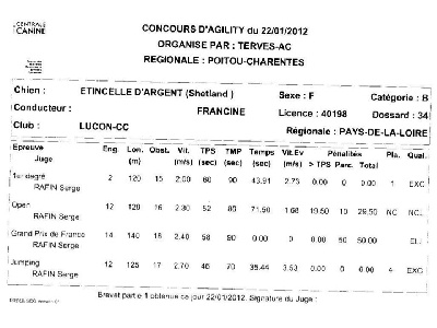 de L'ouche Argentée - 1er concours d'agility pour Etincelle