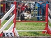  - 29 juin 2014 : Galac en concours à Montbard