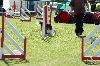  - Concours d'Agility à Mâcon (6 avril 2014)