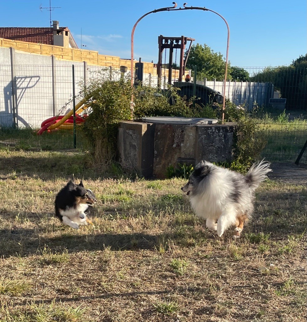 de L'ouche Argentée - Vive les vacances !!!